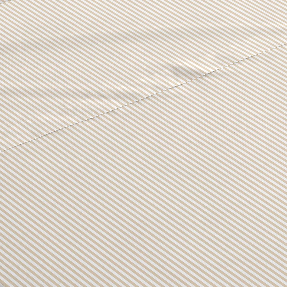 SET DI FOGLI PER PC A RIGHE KODAC