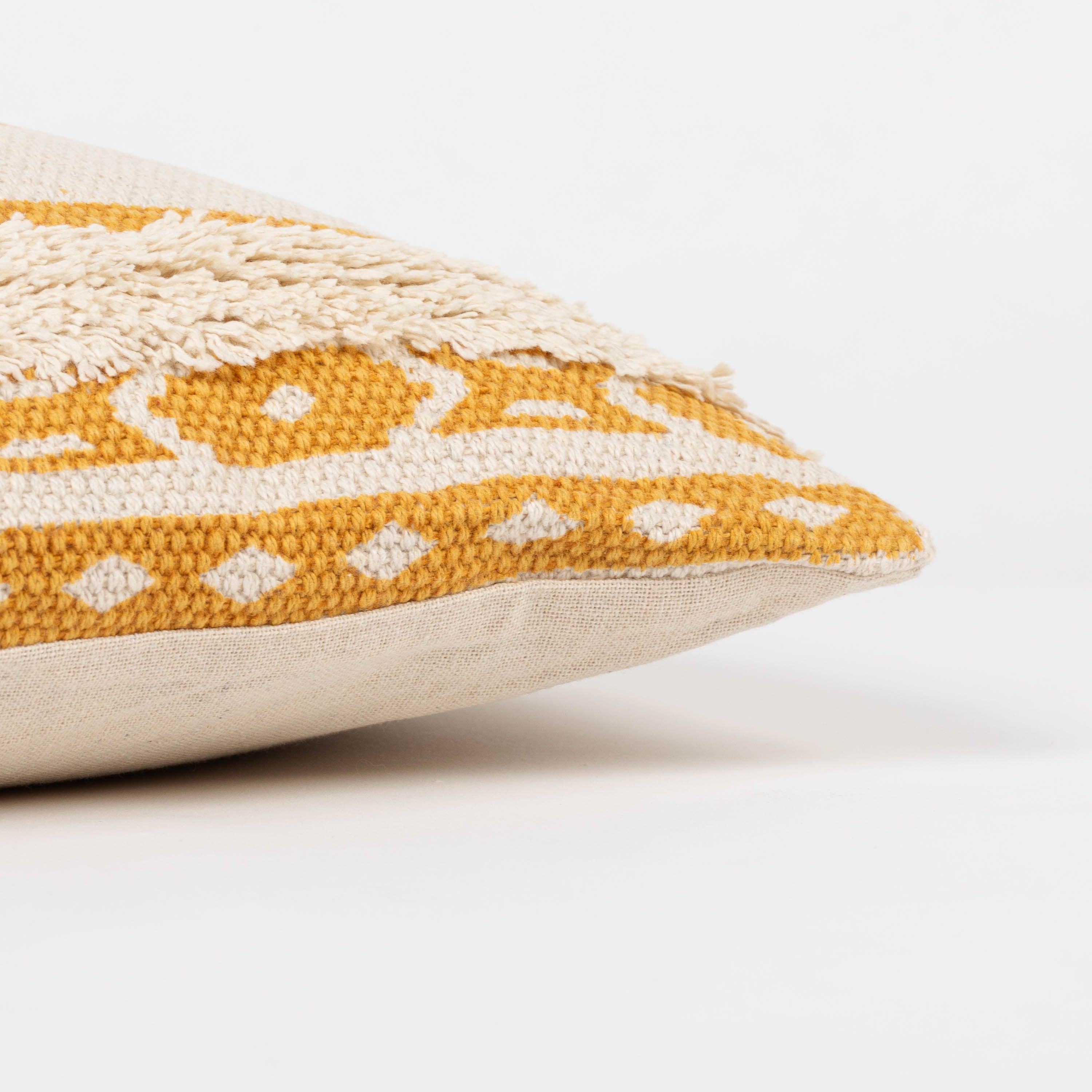 COIXÍ ALG ABAD-WE-TR01-