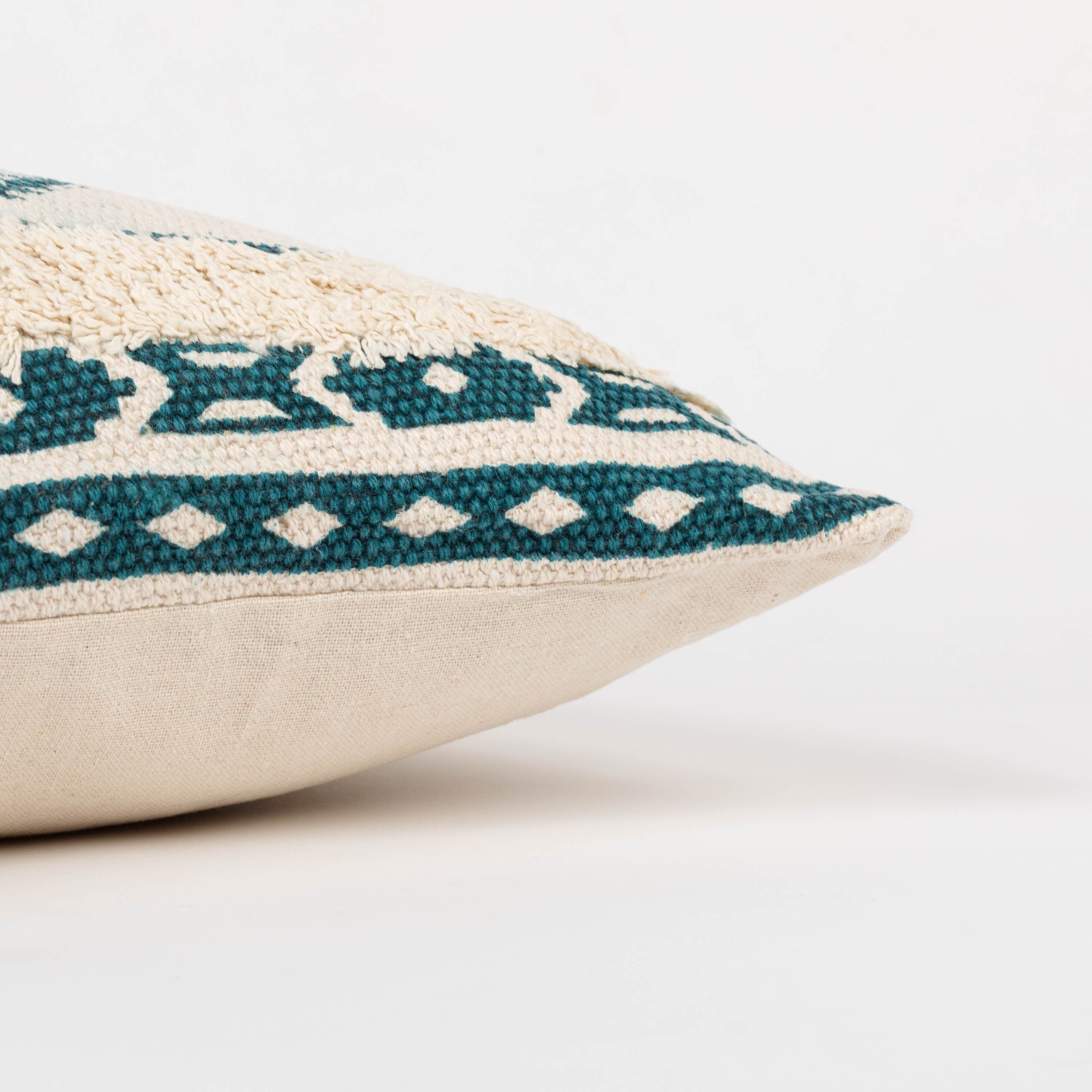 COIXÍ ALG ABAD-WE-TR01-