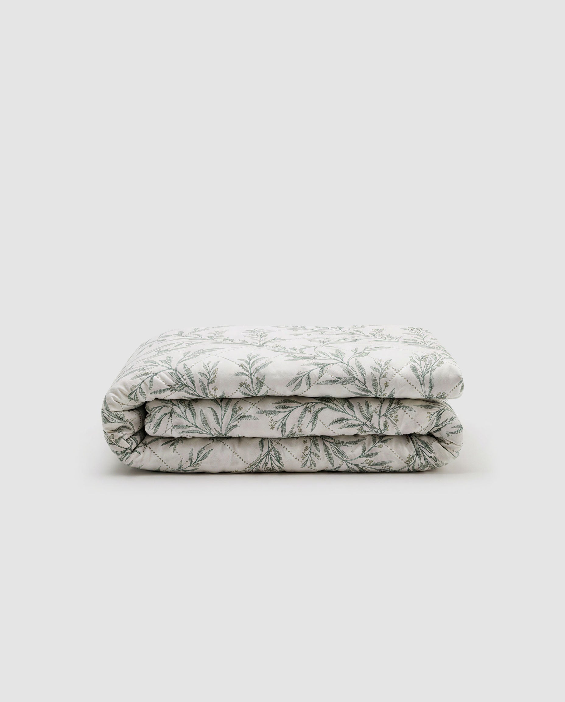 Bouti olive verde seco