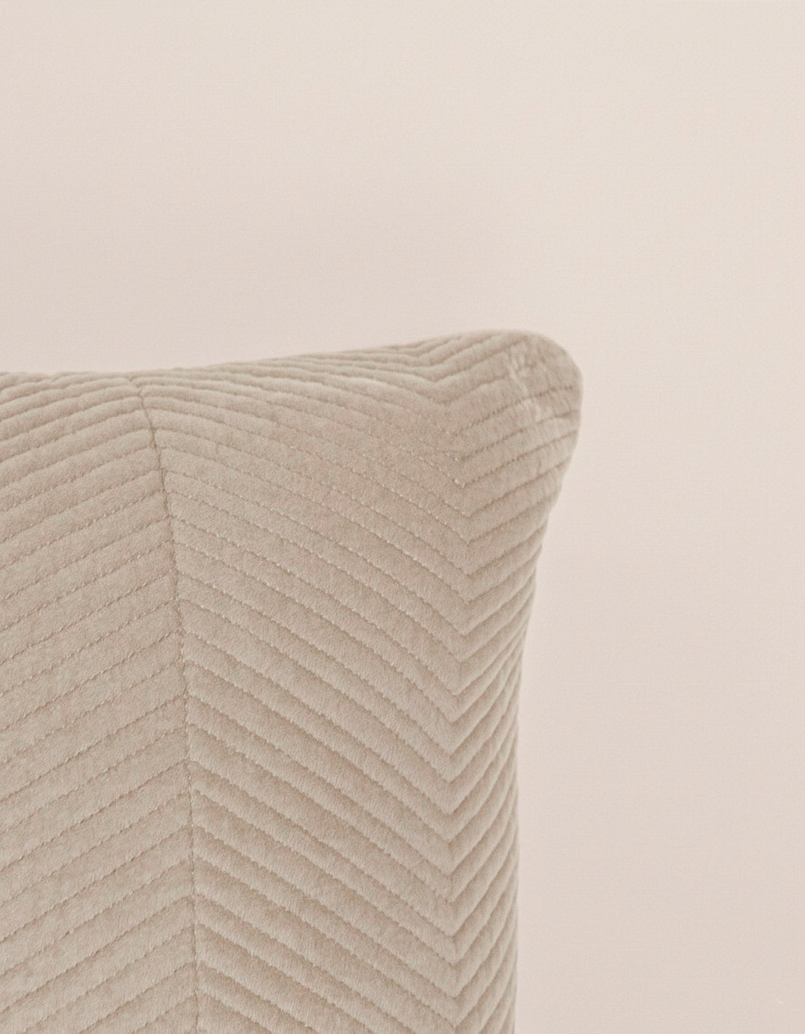 Cuscino Velluto di Cotone Hungria Talpa