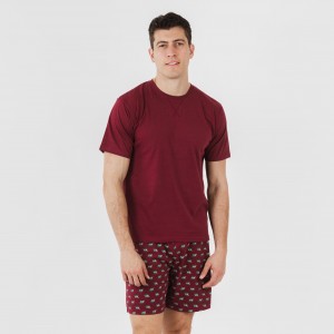 Pijama corto algodón hombre Nino burdeos
