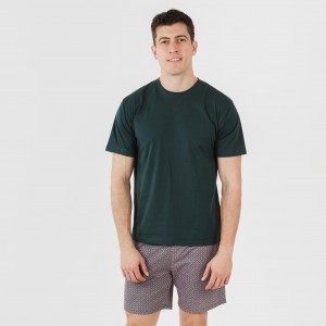 Pijama corto algodón hombre Canes verde