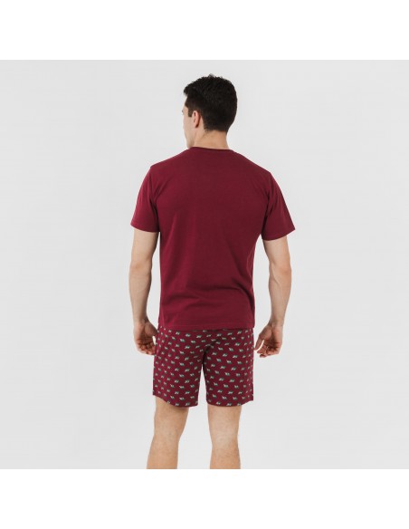 Pijama corto algodón hombre Nino burdeos