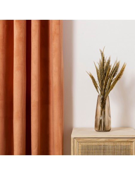 Cortina New terciopelo lisa