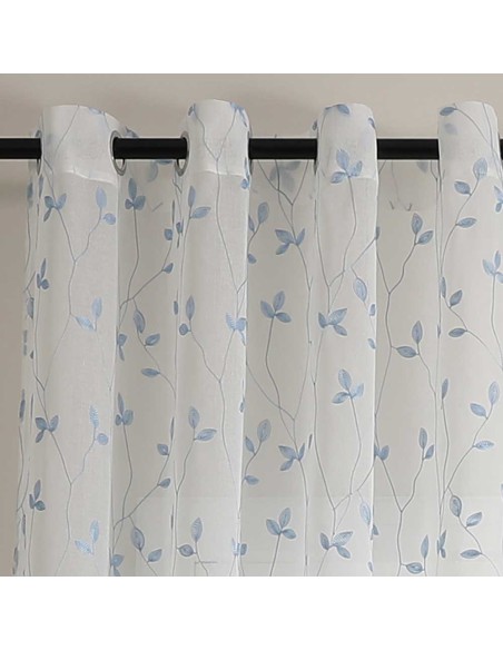 Cortina Pili Cortina Pili