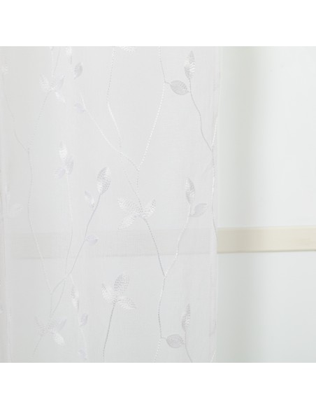 Cortina Pili Cortina Pili