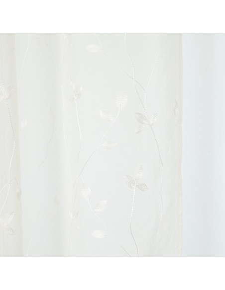 Cortina Pili Cortina Pili