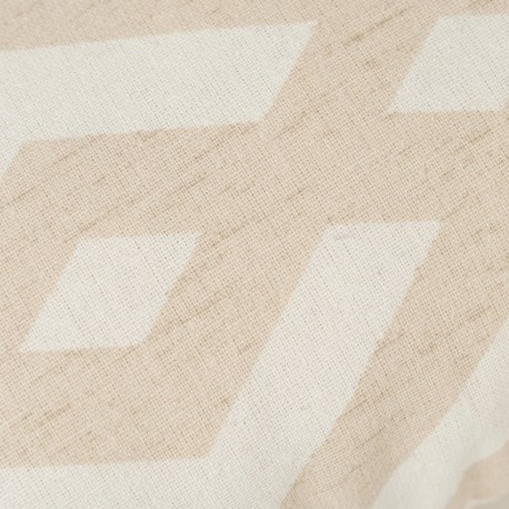 Cojín cuadrante antimanchas Nela liso 50x50 - funda + relleno