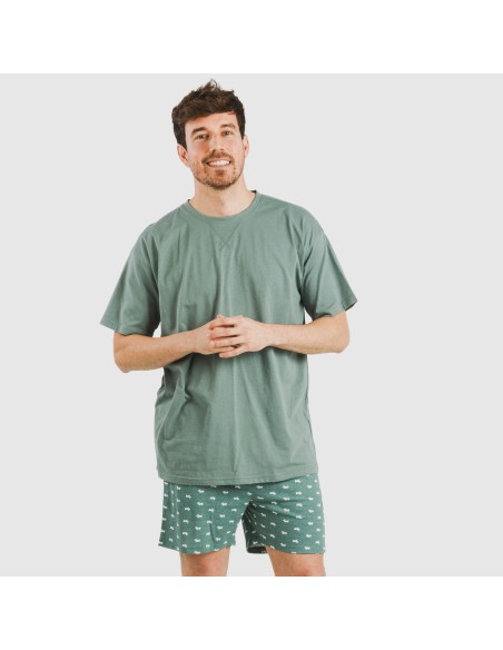 Pijama corto algodón hombre Dawin verde