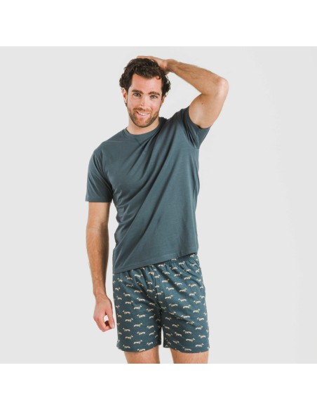 Pijama corto algodón hombre Alexandro verde azulado