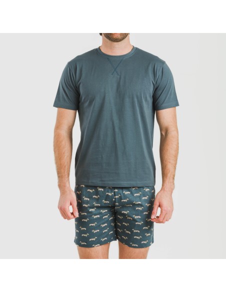 Pijama corto algodón hombre Alexandro verde azulado