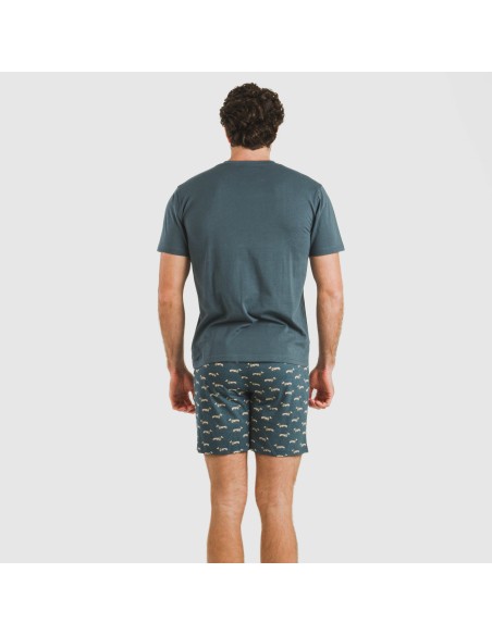 Pijama corto algodón hombre Alexandro verde azulado