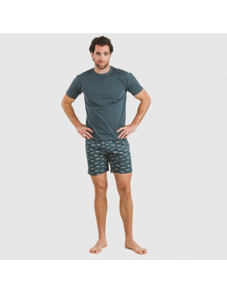 Pijama corto algodón hombre Alexandro verde azulado