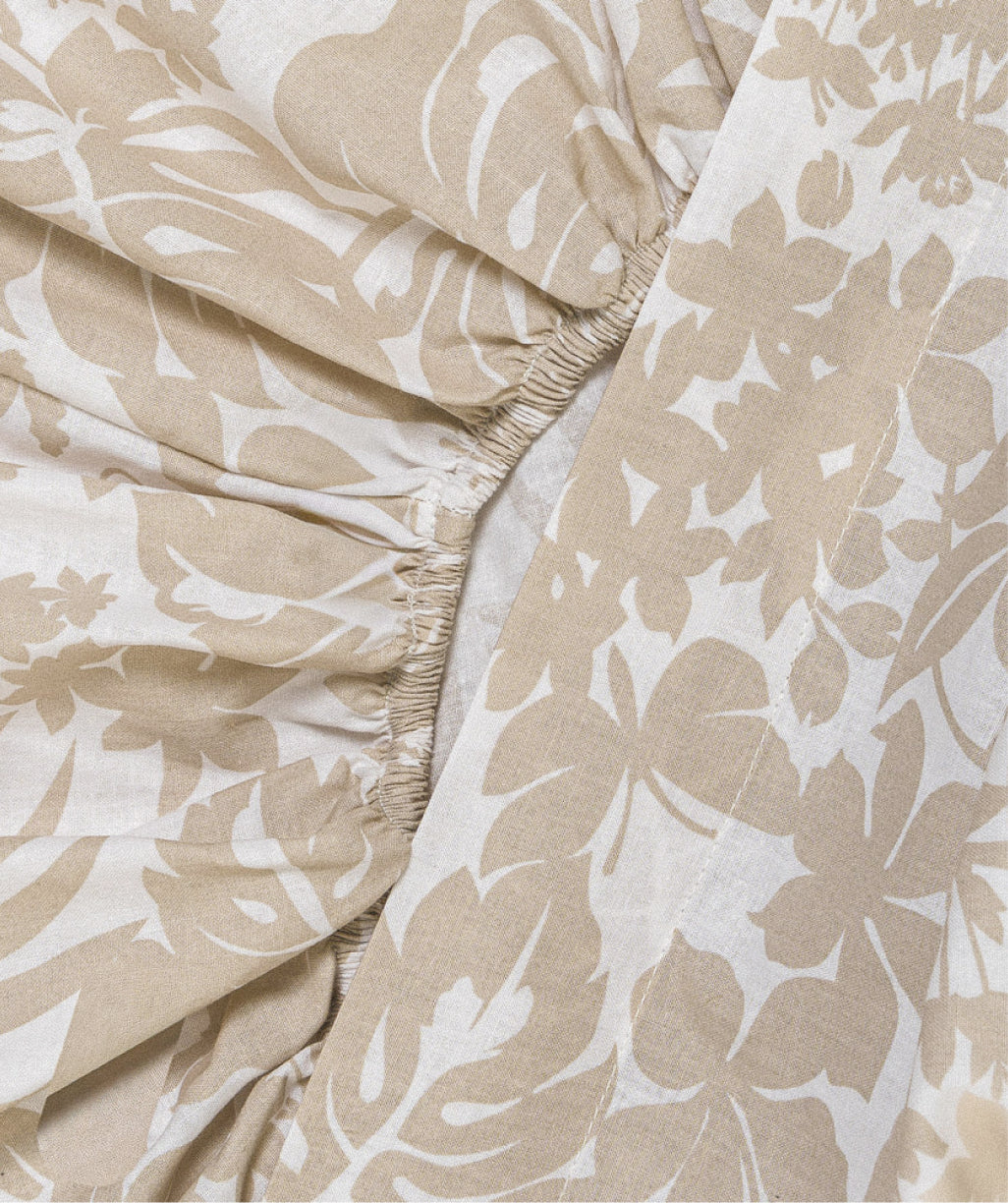 Imagen de colección