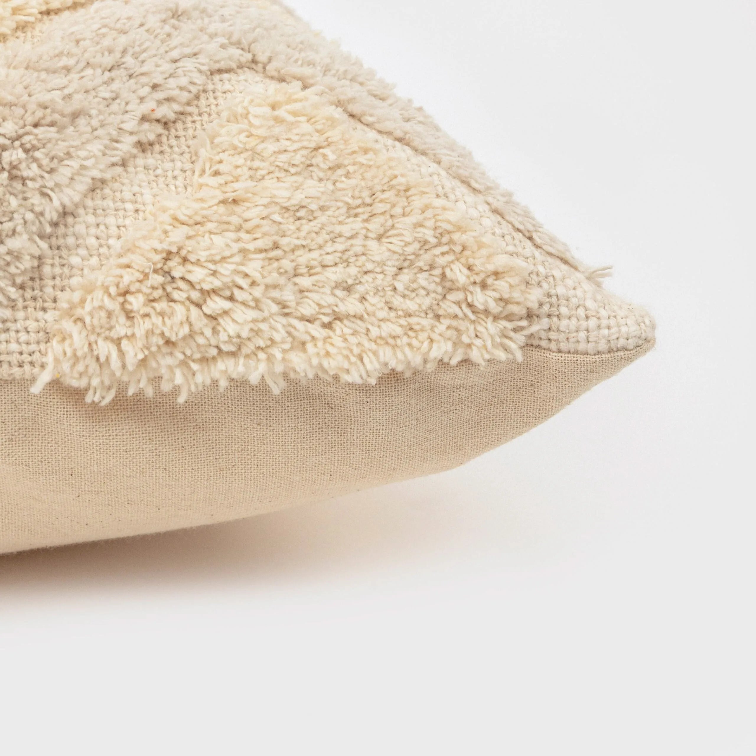 COIXÍ ALG BASEL WTE-CS-23-11