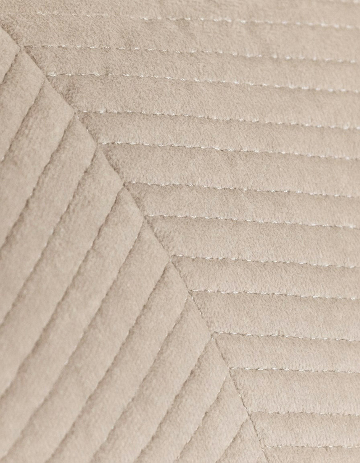 Cuscino Velluto di Cotone Hungria Talpa