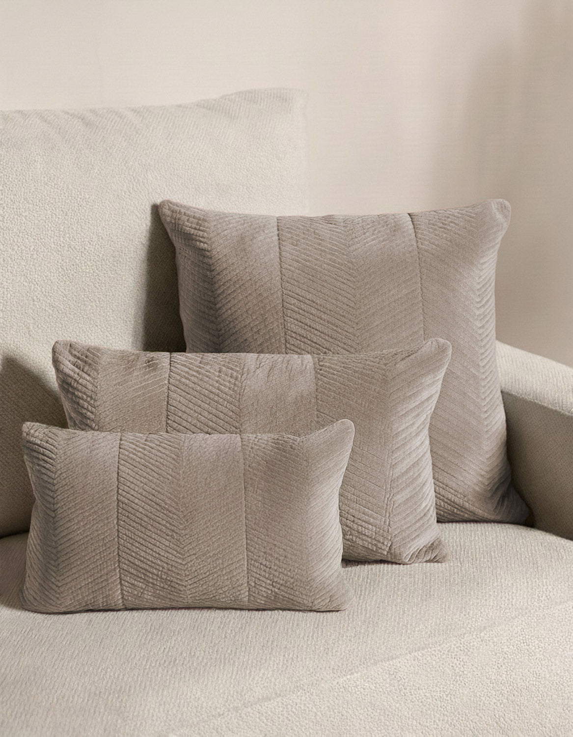 Cuscino Velluto di Cotone Hungria Talpa